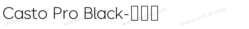 Casto Pro Black字体转换